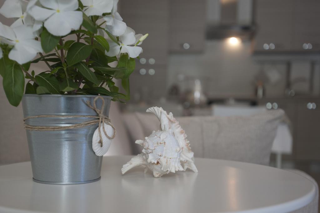 Casavacanze Castelli Di Sabbia Porto SantʼElpidio 部屋 写真